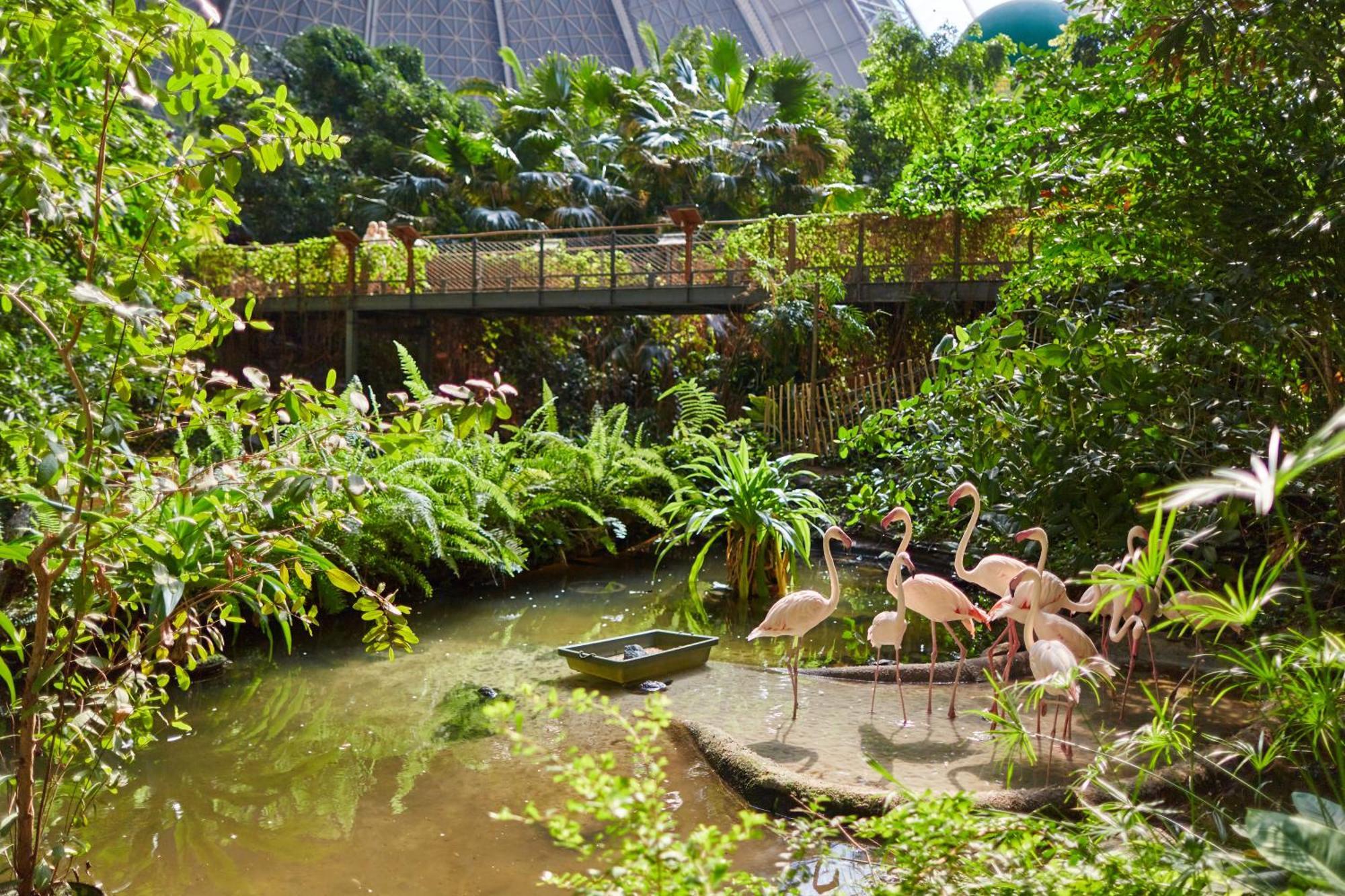 Tropical Islands Resort Briesen  Exterior foto